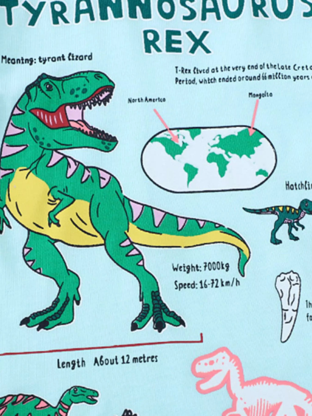 Kids Dinosaur T-Shirt – Soft Cotton Graphic Tee for Boys & Girls (Aqua)