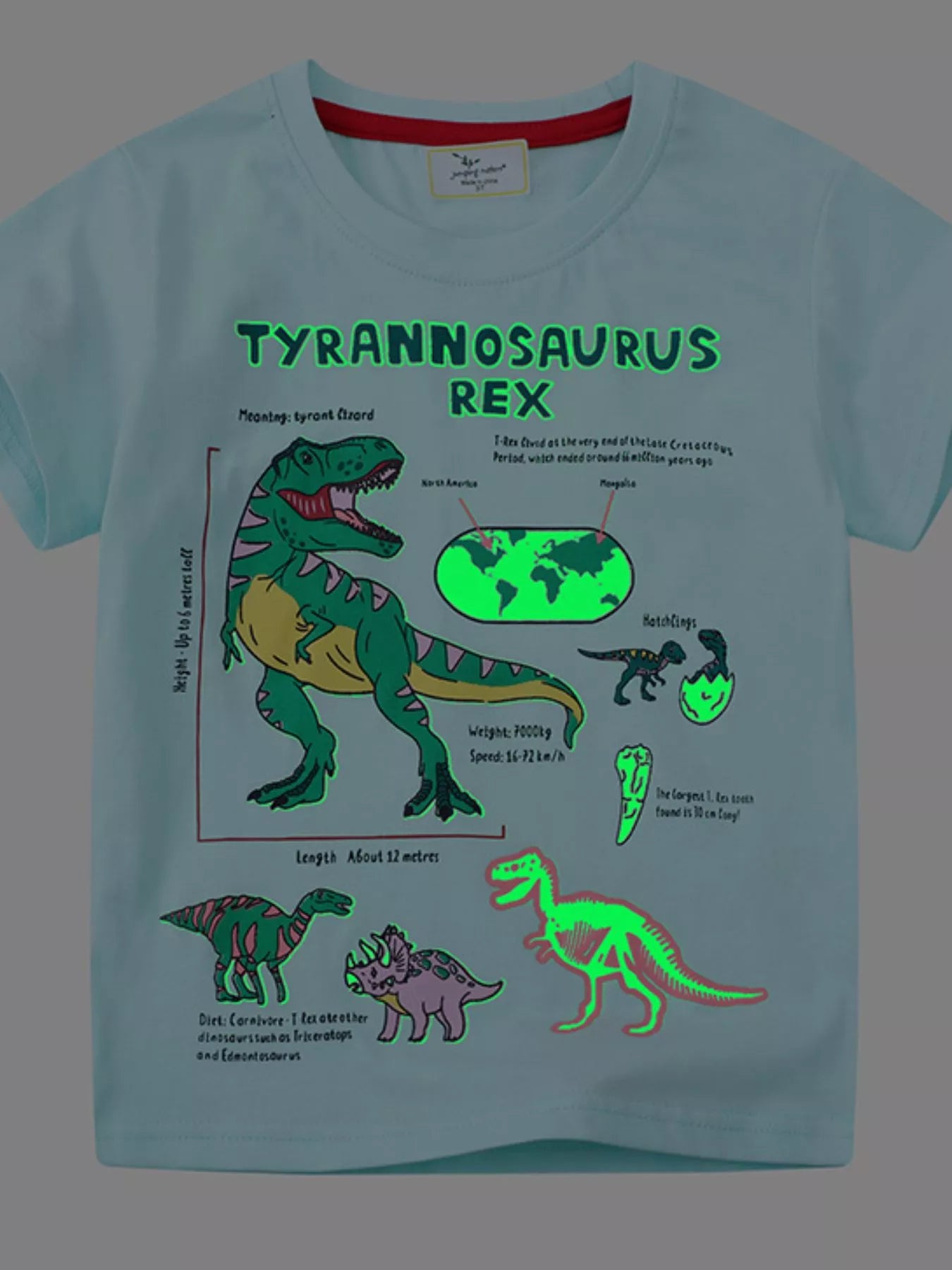 Kids Dinosaur T-Shirt – Soft Cotton Graphic Tee for Boys & Girls (Aqua)